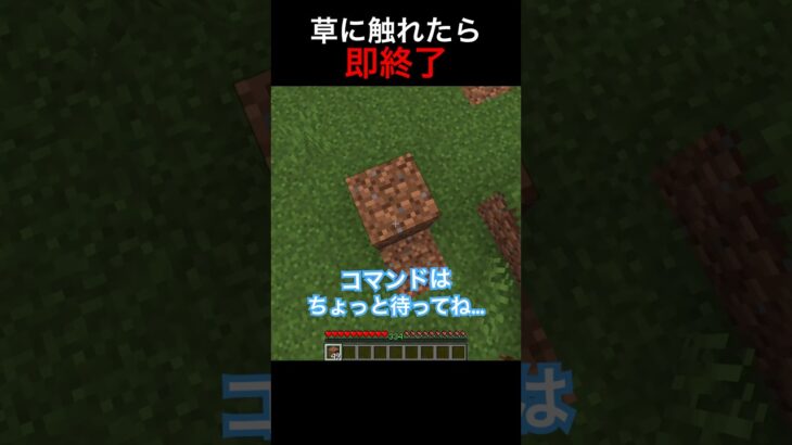 草に触れたら即終了 #shorts #マインクラフト #マイクラ