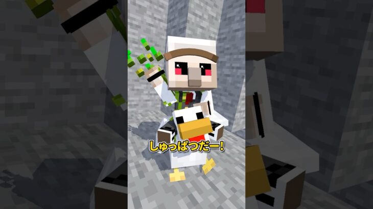 チキンジョッキー #shorts #マイクラ