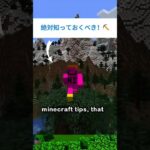 【マイクラ初心者必見】こっそり教える裏技テクニック集！⛏️✨ #shorts