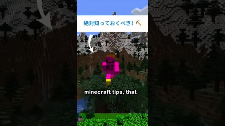 【マイクラ初心者必見】こっそり教える裏技テクニック集！⛏️✨ #shorts