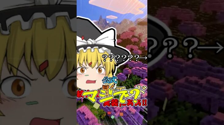 統合版に公式影モッド実装！？【マイクラ豆知識 解説 裏技 コマンド/ゆっくり実況/マインクラフト】#shorts