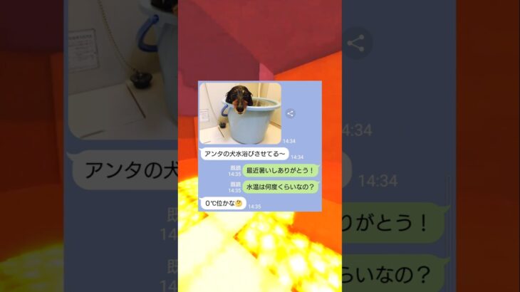 犬を冷やした女の末路ｗｗ　#マイクラ #スカっと #shorts