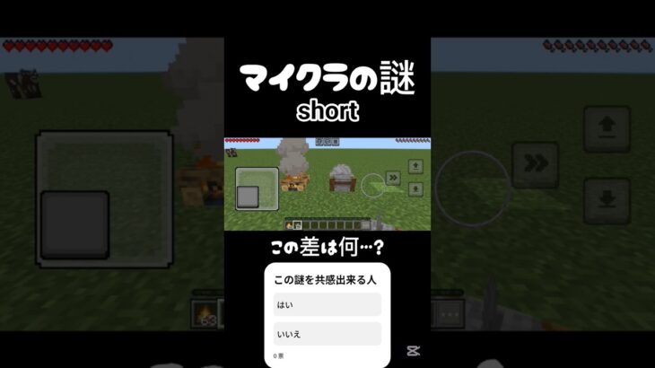 【マイクラの謎】この差は何…？ #マイクラ #shorts