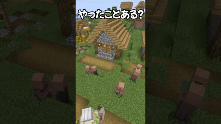 プレイヤーの物欲で行われる村人ガチャ…エンチャント本欲しいもんね！ #shorts #minecraft #funnyvideo  #mainecraft  #マイクラ #マインクラフト