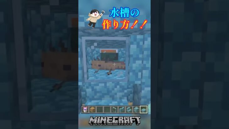 ウーパールーパーの水槽の作り方！！#shots #マイクラ #マインクラフト #minecraft