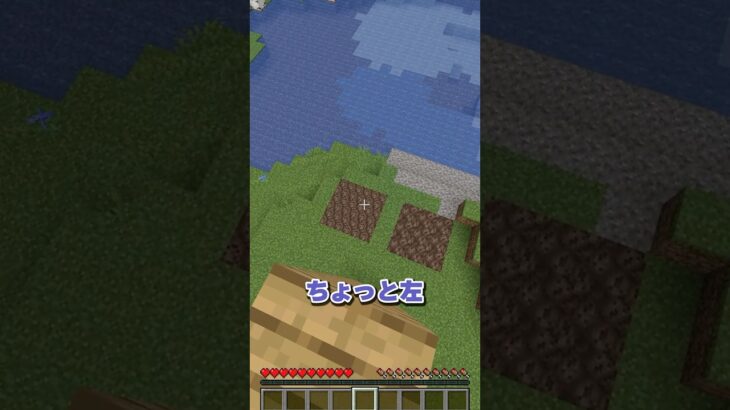 本物はどっちだ？ #マイクラ