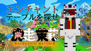 エンチャントテーブルの材料集め！
