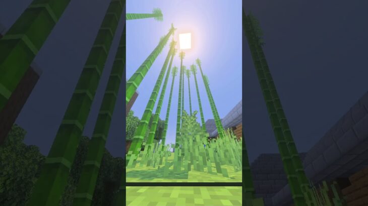 田舎の街#マインクラフト #マイクラ #神社 #建築 #藤井風