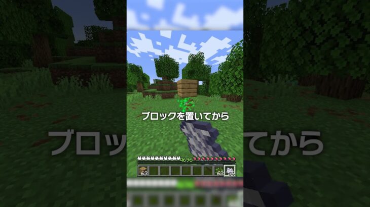 ネザーの木は○○！？【マイクラ豆知識 解説 裏技】
