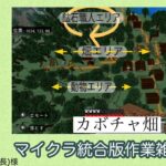 マイクラ整地作業建築配信