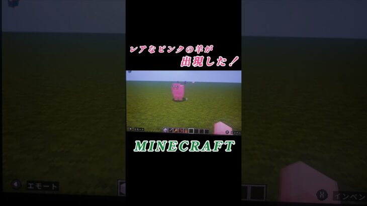 ゲームマイクラでレアなピンクの羊が出現した…
