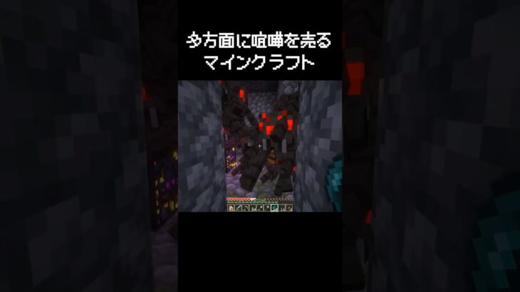マイクラの各方面に喧嘩を売っている瞬間