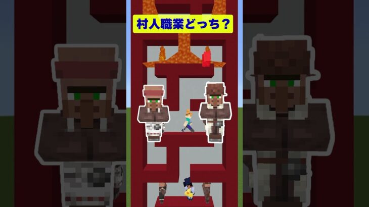 【マイクラ】村人職業どっち！？