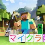 【マイクラ】エンチャント始めます