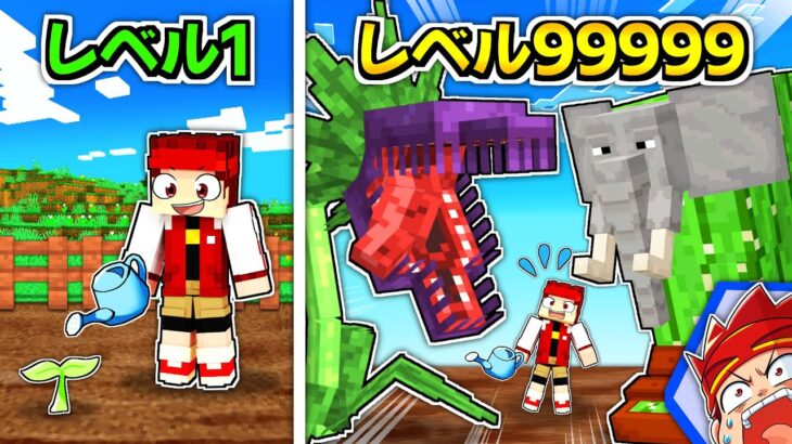 畑を成長させるまで終われません！【マイクラ/マインクラフト】