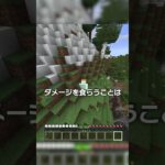世界一意味のない世界記録！？【マイクラ豆知識 解説 裏技】