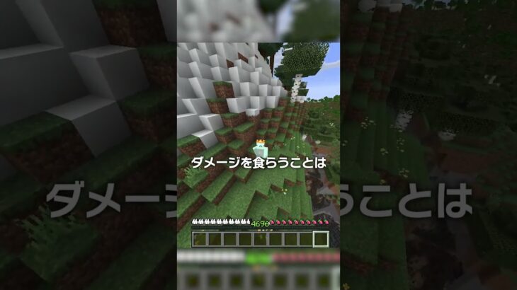 世界一意味のない世界記録！？【マイクラ豆知識 解説 裏技】