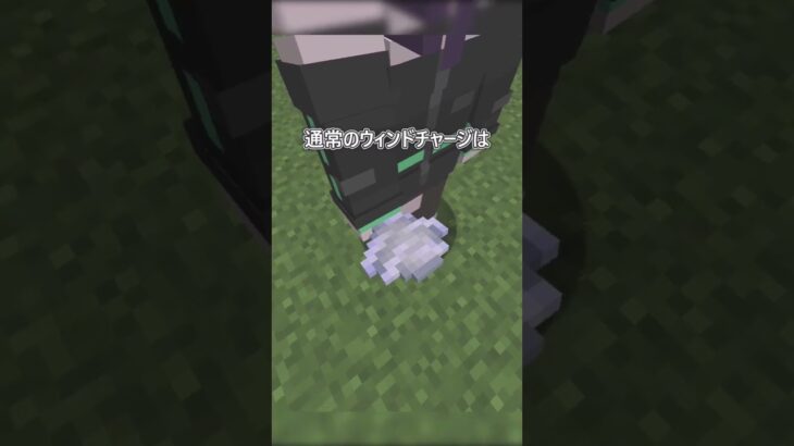 コマンドでしかだせないアイテム！？