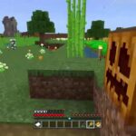 [マイクラ実況］続！修繕のエンチャントを求めて
