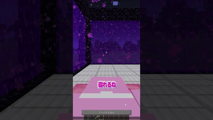 ネザーゲートの家を作れば大丈夫【まいくら・マインクラフト】