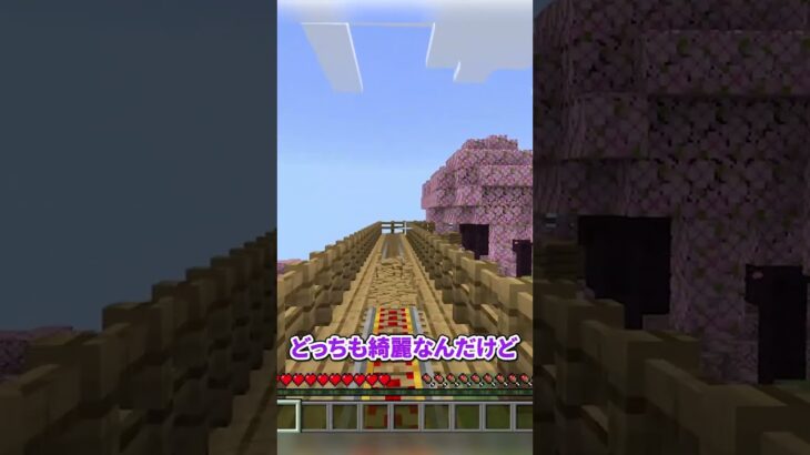 ドラマ「家なき子」の主演は？#教育版マインクラフト #マイクラ学習 #マイクラ#トロッコアドベンチャー #ゲーム