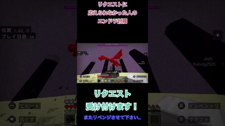 リクエストに応えられなかったひとのエンドラ討伐 #コマンド #マイクラ #エンドラ #エンドラ討伐 #ブロスタ #マインクラフト #ワンピース