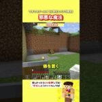 邪悪な魔法【マイクラ】