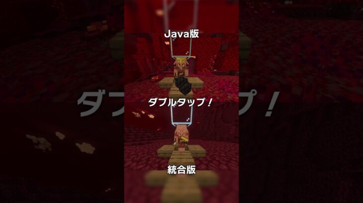 誰も気づいてない統合版 vs Java版【マイクラ豆知識 解説 裏技】