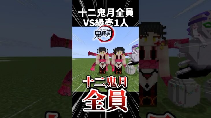 【マインクラフト】鬼舞辻無惨&実装済み十二鬼月全員&累の家族全員vs縁壱！#マイクラ #マインクラフト #minecraft #鬼滅の刃