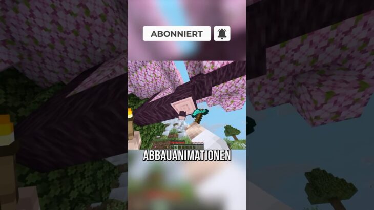 DIESE Mod gibt es ENDLICH für Minecraft Java!🥳