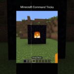 I am not using any Minecraft add-on mods.