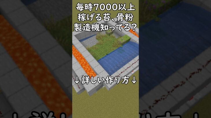 【Java1.21.8】超効率苔、骨粉、色あせた苔製造機装置の作り方！　#マイクラ  #マインクラフト #minecraft #Minecraft