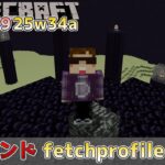 【マイクラ情報】Ver1.21.9 新コマンド「fetchprofile」で有名なプレイヤーの頭が簡単に入手可能に!? Java版マインクラフト・スナップショット 25w34a 今後のアップデート情報