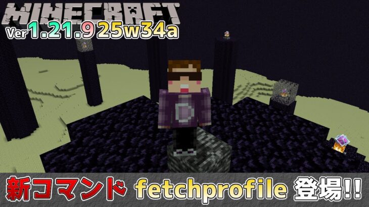 【マイクラ情報】Ver1.21.9 新コマンド「fetchprofile」で有名なプレイヤーの頭が簡単に入手可能に!? Java版マインクラフト・スナップショット 25w34a 今後のアップデート情報