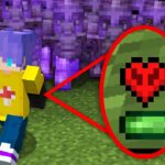 Eu DOMINEI um SERVIDOR com 1 CORAÇÃO no Minecraft