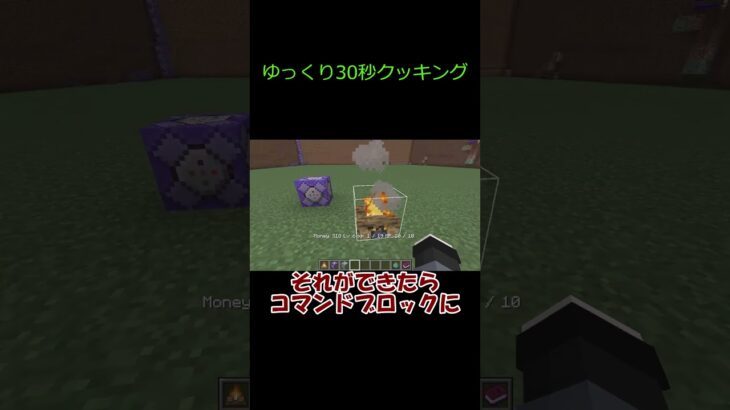 [Java 1.21.8]焚火で回復しよう