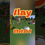 【マイクラ️⭕️知識】Java限定仰向けで寝転がれるコマンド知ってる？【Minecraft/minecraft/まいくら】