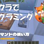 【マイクラ】TPコマンドの使い方 [統合版/Java版]：しょうがくせいからマインクラフト　#マイクラ #マインクラフト #minecraft #tp #プログラミング