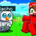 Jugando como un BÚHO BEBÉ Perdido en el BOSQUE en Minecraft!