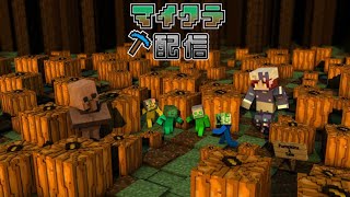 [Minecraft][初見・雑談大歓迎]魔法の届け屋物語 #なるウィンパーティー