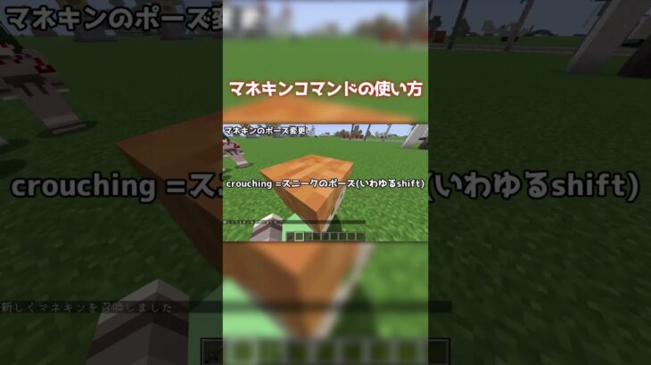 【Minecraft】マネキンコマンドの使い方 how to use mannequin command 【コマンド】 #マイクラ #マインクラフト #minecraft #1.21.9 #コマンド