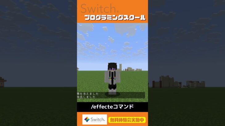 【マイクラ】effectコマンド解説動画　Java版 / 統合版