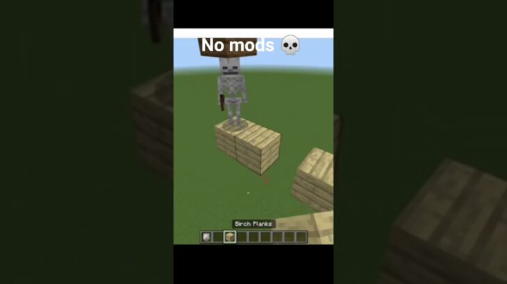 no mods 💀 in minecraft Java