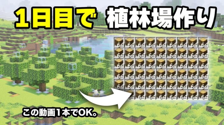 【マイクラ】初心者必見！1日目で植林場の作る方法！序盤に木材無限にして建築を効率化しよう！【マイクラ/統合版/Java版対応】