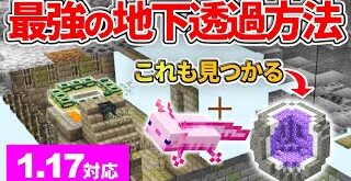 マイクラ統合版1 17 超簡単 レアアイテム無限増殖バグのやり方 Minecraft Summary マイクラ動画